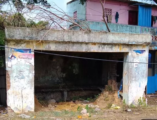 கரையான்களின் நிழற்குடை கரையான்களின் நிழற்குடை