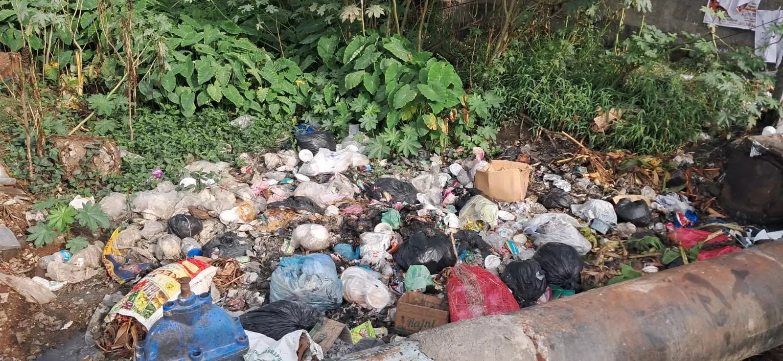 வாய்க்காலில் கொட்டப்படும் கழிவுகள் வாய்க்காலில் கொட்டப்படும் கழிவுகள்