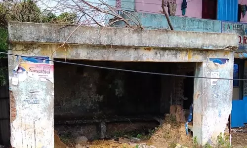கரையான்களின் நிழற்குடை