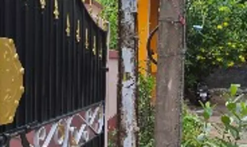 எலும்புக்கூடான மின்கம்பம்