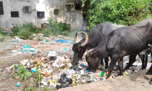 மாணவ-மாணவிகள் பாதிப்பு