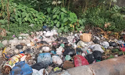 வாய்க்காலில் கொட்டப்படும் கழிவுகள்